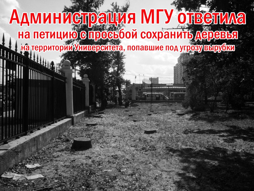 Угол кампуса МГУ после вырубок